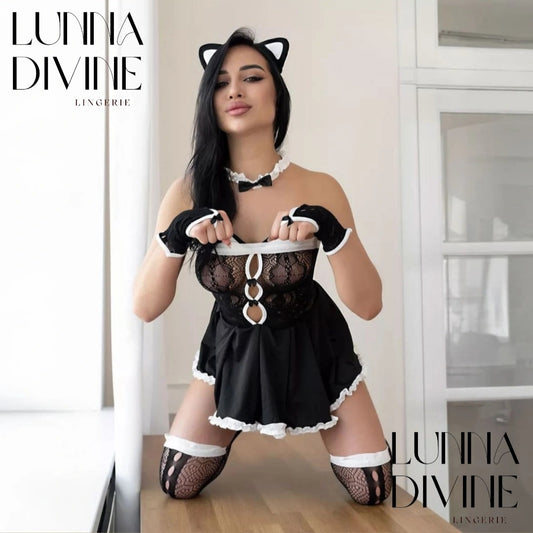 Ensemble LAPINA