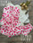 Ensemble Kimono 3 pièces
