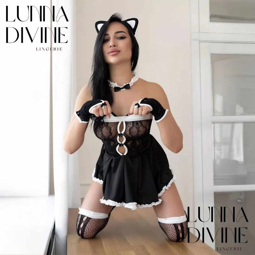Ensemble LAPINA