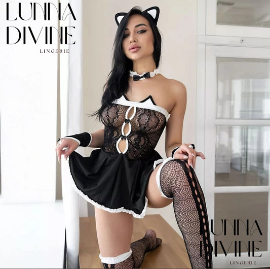 Ensemble LAPINA
