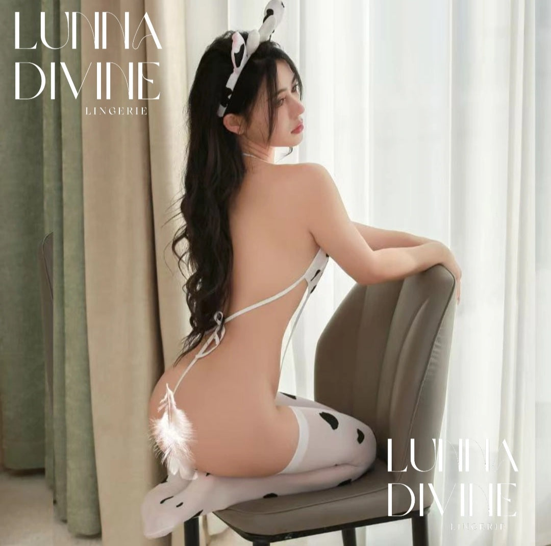 Ensemble COW NINA
