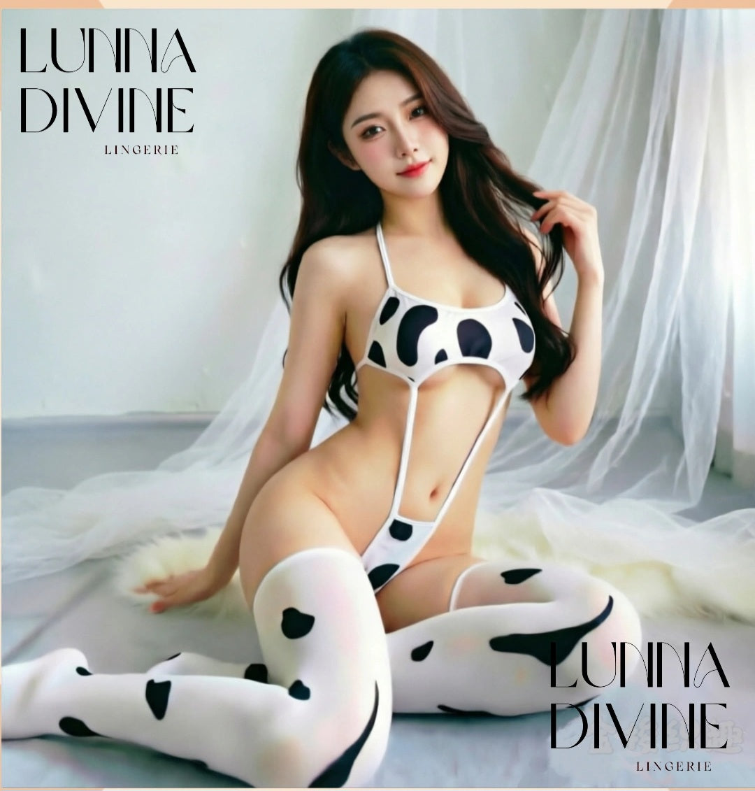 Ensemble COW NINA